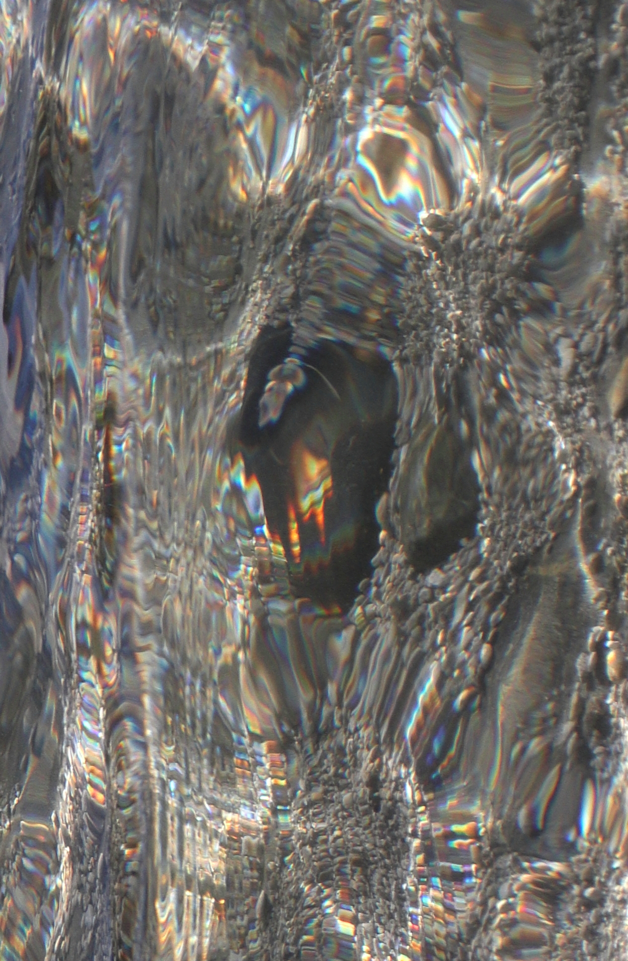 bright portal